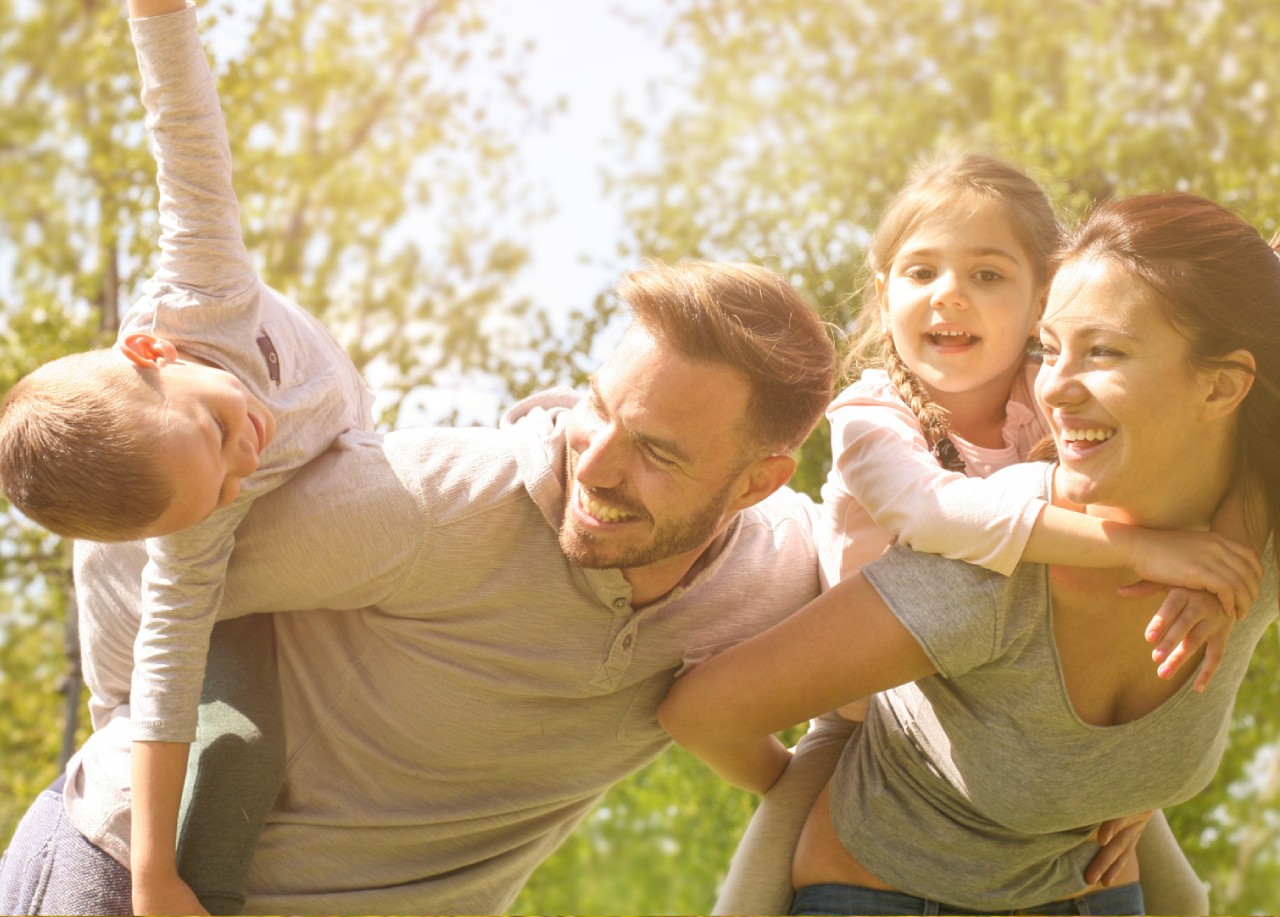 Spring family Spring family